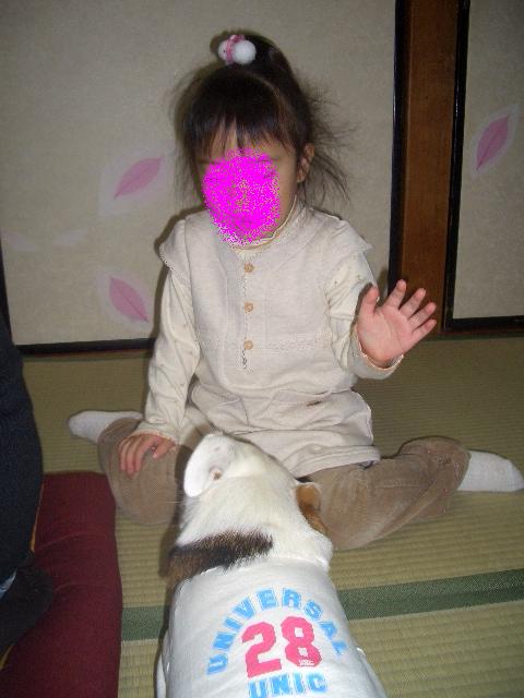は～い