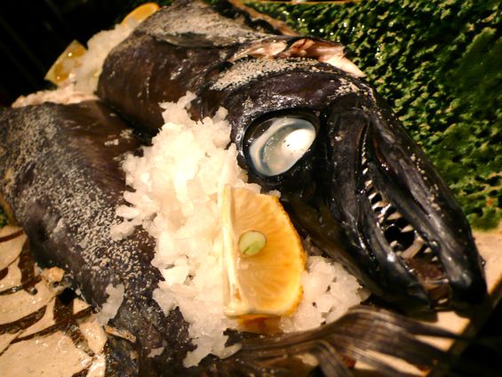 『ワシ・ブロ』~完食主義なワシの生活~-081226築地王オフ21