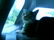200608101138000.jpg