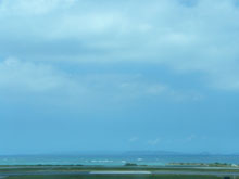 海