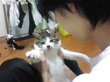 僕悪くないにゃ。つーん。