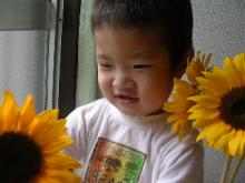 himawari3