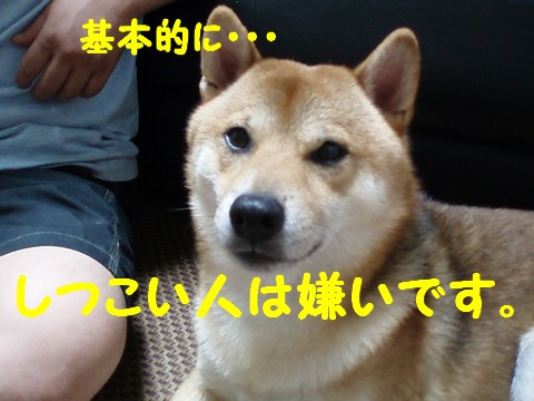 基本的に