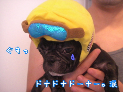 ドナドナ