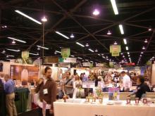 NPEX2008.3.16