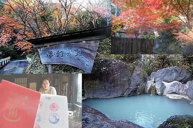 ｡･:*: かばの部屋 :*:.･　-新館-