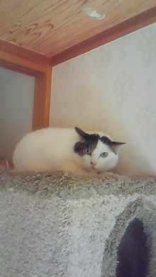 ８．９．１０…シビル&dodici&Treize-200902190959000.jpg