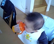 DVC00002_M.JPG