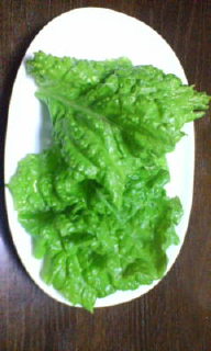 20080605220123.jpg