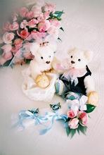 weddingbear