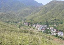 展望台