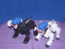 black＆white　aibo