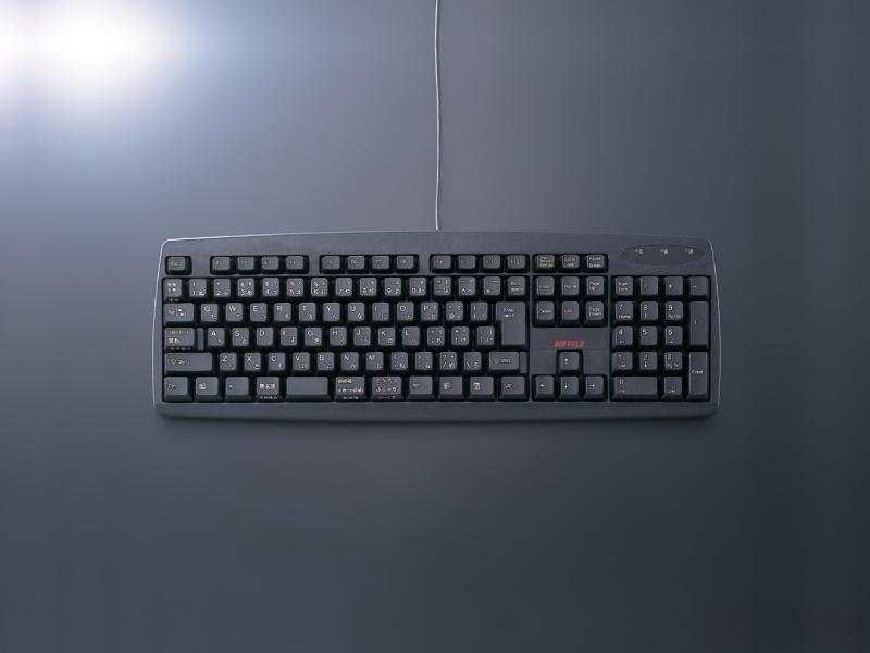 バッファロー