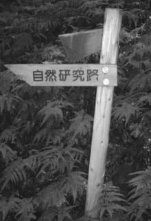城ヶ崎看板