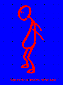 red&blue2006