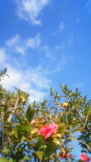 200811251433000.jpg