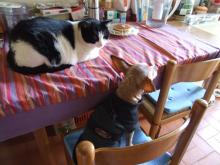 01012008_billy