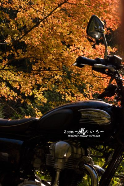 パパはオートバイ乗り