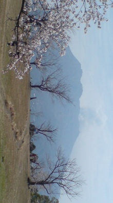 20080403113915.jpg