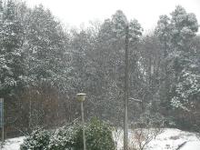 雪