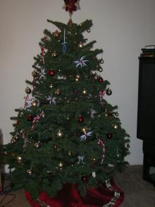 クリスマスツリー 2006