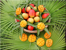 mango2