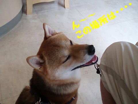 この場所