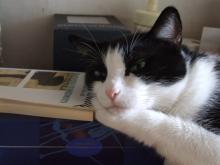 24082008_03