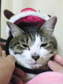 やめてよね・・・