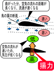 円弧翼