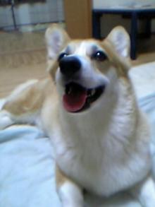 20050708
