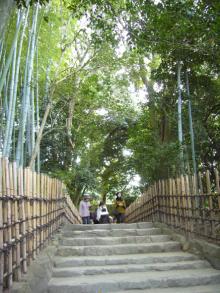 kyoto5
