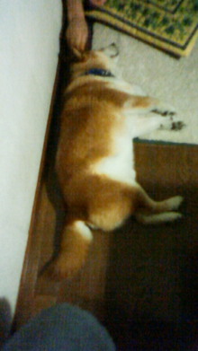 200807262247000.jpg