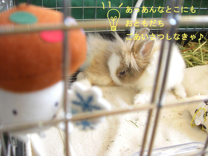 PUNKUNのきもち