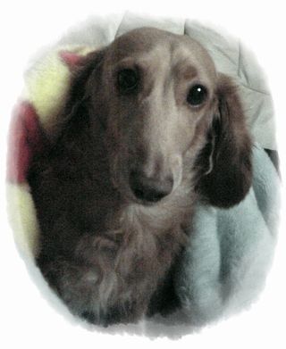 起きた“れおたん”