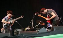 Foals