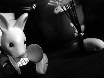 usagi