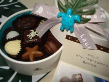 ☆☆HulaとQuiltと小悪魔Leoを愛するショミ～ンの日記☆☆　　　　*Nani Malie a me Po’okela O Ke Kai*　　　