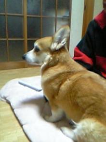 20050214