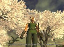 春