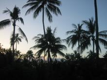 O-View