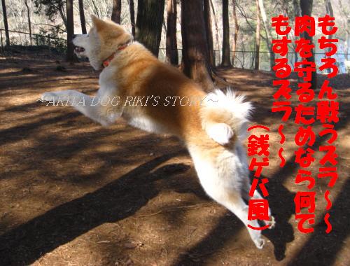 秋田犬　リキの物語