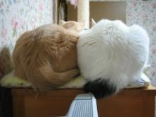 ８．９．１０…シビル&dodici&Treize