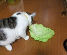 結構うめぇ