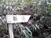 新道表示