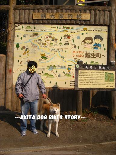秋田犬　リキの物語