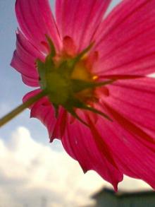 061003_1100~01.JPG