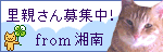 里親湘南