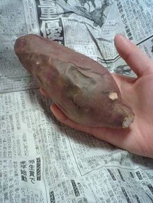 明日に向かって♪-090201_1603~0001.jpg