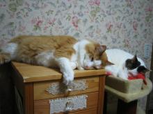 ８．９．１０…シビル&dodici&Treize